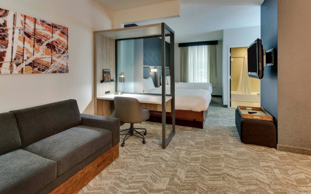 photo 3 of SpringHill Suites Birmingham Downtown at UAB