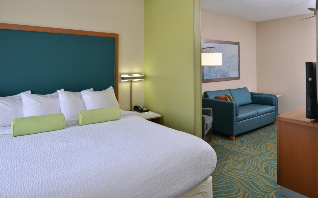 photo 3 of SpringHill Suites Charleston Riverview