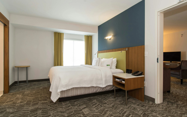 photo 4 of SpringHill Suites by Marriott Charlotte Ballantyne