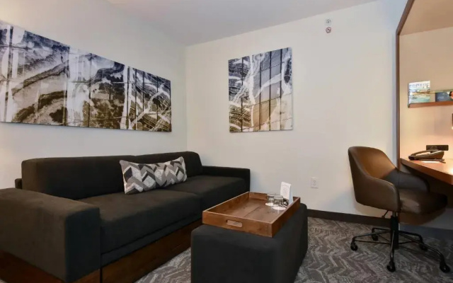 photo 4 of SpringHill Suites by Marriott Columbia Downtown/The Vista