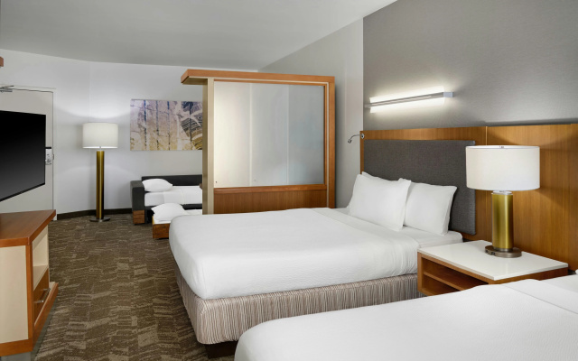 photo 3 of SpringHill Suites by Marriott Detroit Metro Airport Romulus
