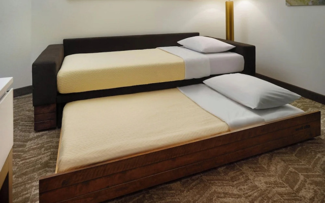 photo 4 of Springhill Suites By Marriott Ellijay
