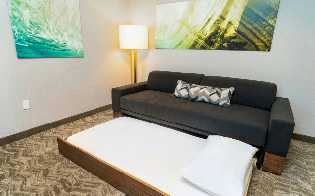 photo 3 of SpringHill Suites by Marriott Newark Fremont