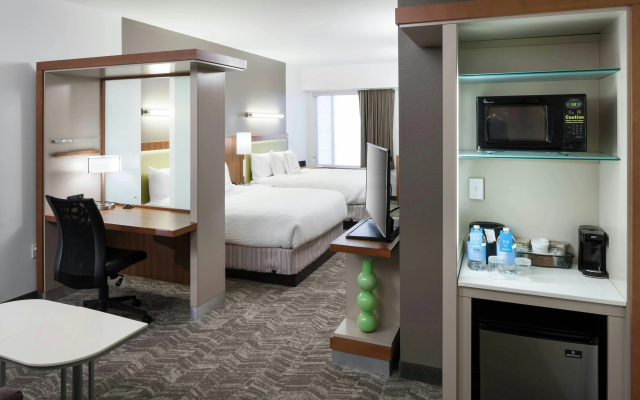 photo 3 of SpringHill Suites by Marriott Orlando at SeaWorld