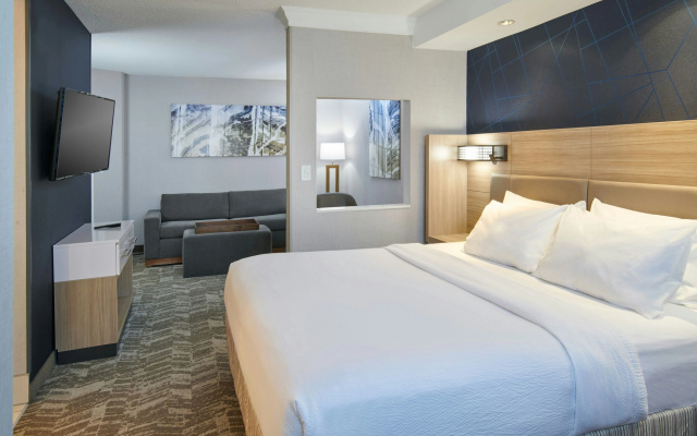 photo 5 of SpringHill Suites Detroit Southfield