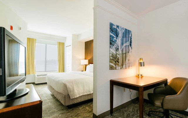 photo 3 of SpringHill Suites by Marriott Florence