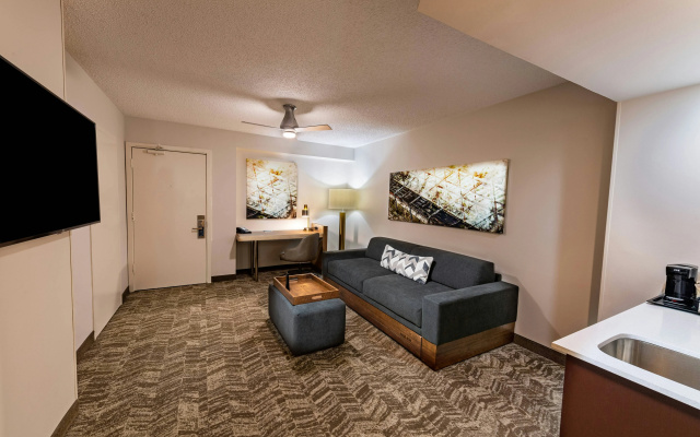 photo 4 of SpringHill Suites Houston Medical Center/NRG Park