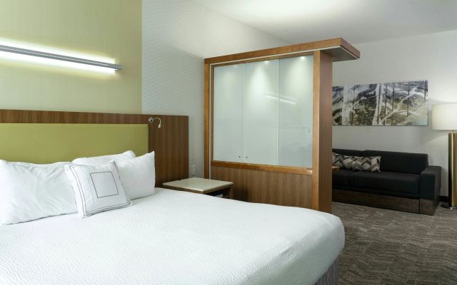 photo 2 of SpringHill Suites Philadelphia Airport Ridley Park