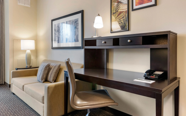 photo 5 of Staybridge Suites St. Petersburg Downtown by IHG