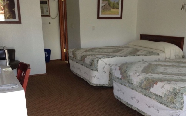 photo 4 of Sultan, Dutch Cup Motel