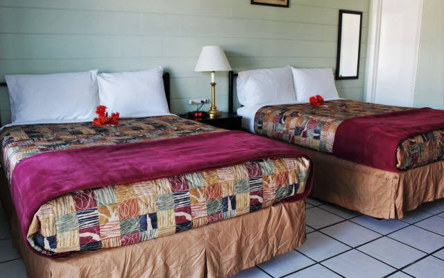 photo 3 of Sunshine Inn & Suites Venice, FL