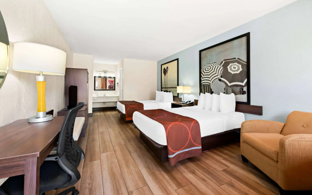 photo 2 of Super 8 By Wyndham Florida City/Homestead/Everglades