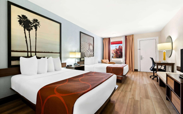 photo 5 of Super 8 By Wyndham Florida City/Homestead/Everglades