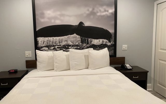 photo 3 of Aura Inn Monterey