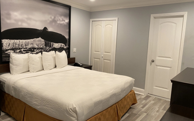 photo 4 of Aura Inn Monterey