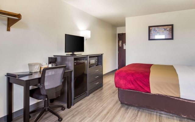 photo 4 of Super 8 Motel Somerset