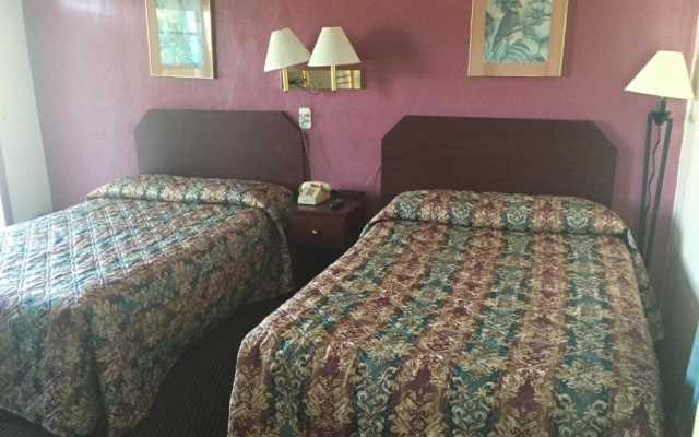photo 4 of Tamiami Motel
