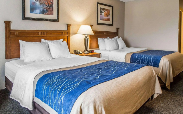 photo 4 of Comfort Inn & Suites Blue Ridge