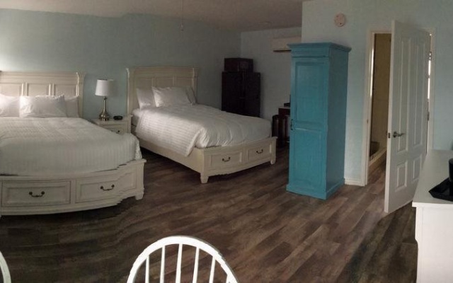 photo 2 of Dolphin Inn
