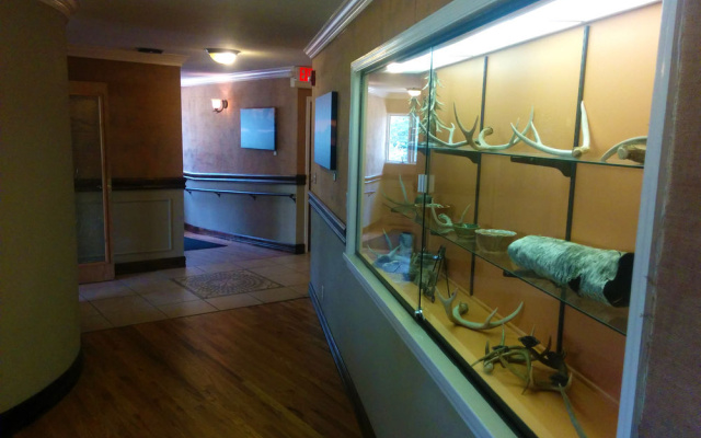 photo 4 of The Monte Vista Hotel