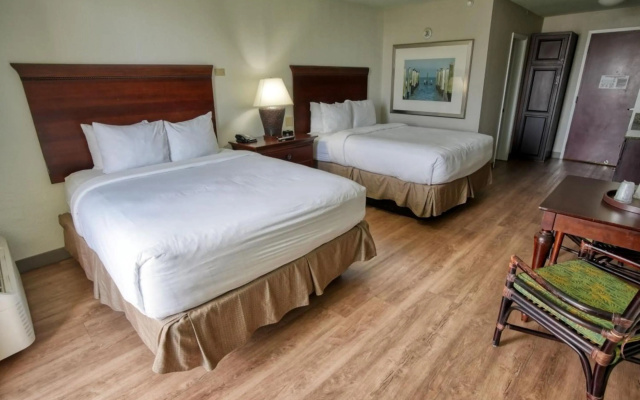 photo 5 of Treasure Island Hotel and Marina