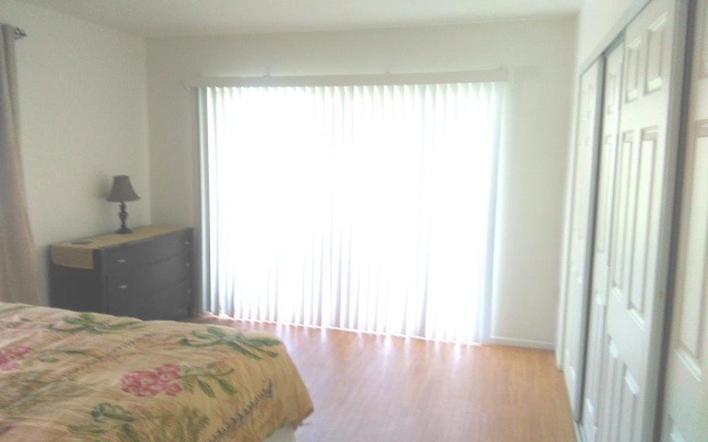 photo 3 of Tropical Dreams