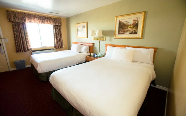 photo 3 of Tulip Inn