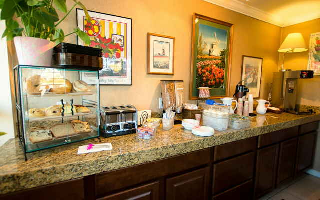 photo 5 of Tulip Inn