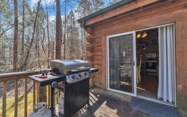 photo 4 of Waterfront-log Cabin On The Broad River In Lake Lure 2 Bedroom Cabin by Sunscape Property Management
