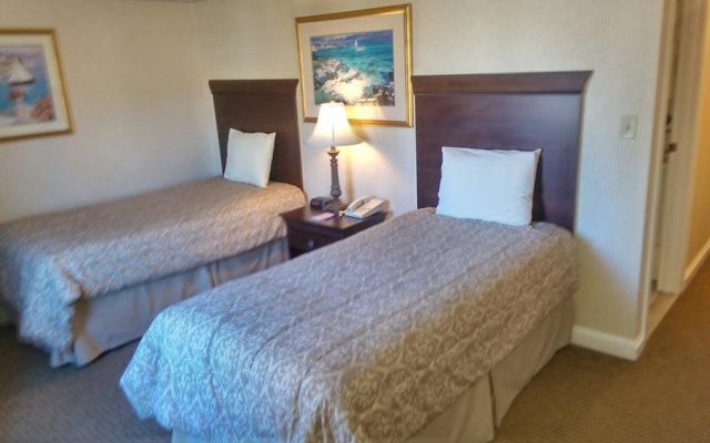 photo 5 of Wellington Resort