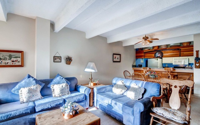 photo 2 of Wheeler at East Village by Copper Mountain Lodging