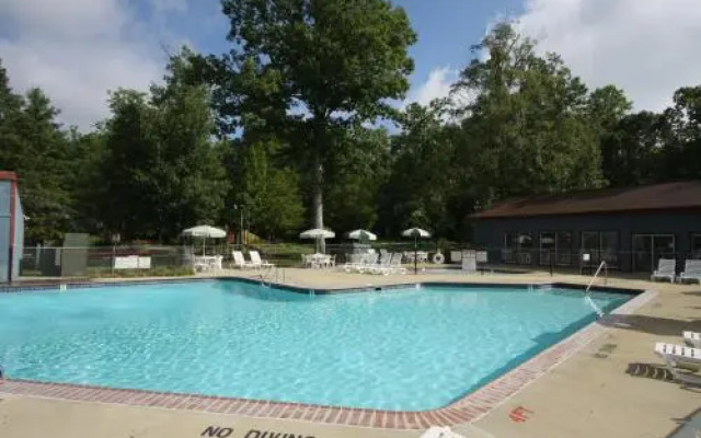 photo 2 of Williamsburg Camping Resort 38 ft. Park Model 3