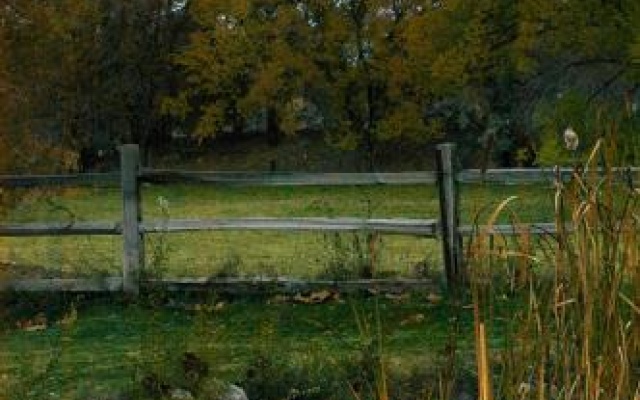 photo 5 of Willow Pond Bed and Breakfast