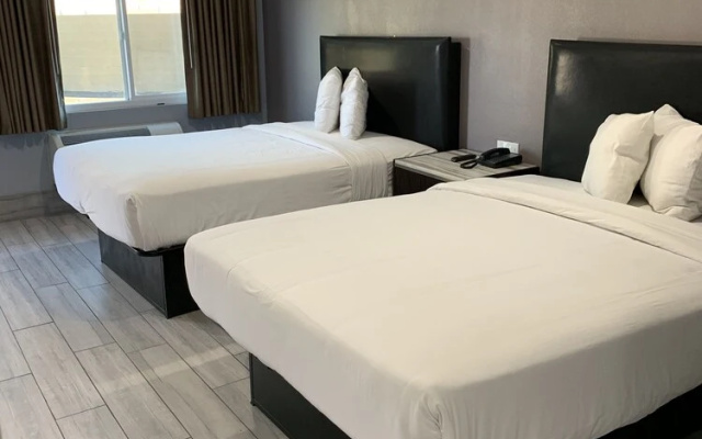 photo 5 of Willow Tree Inn Suites