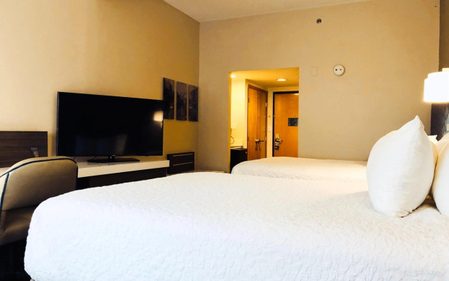 photo 3 of Comfort Inn & Suites Greenville Near East Carolina University