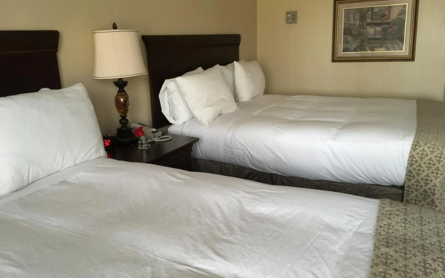 photo 3 of Quality Inn Airport South