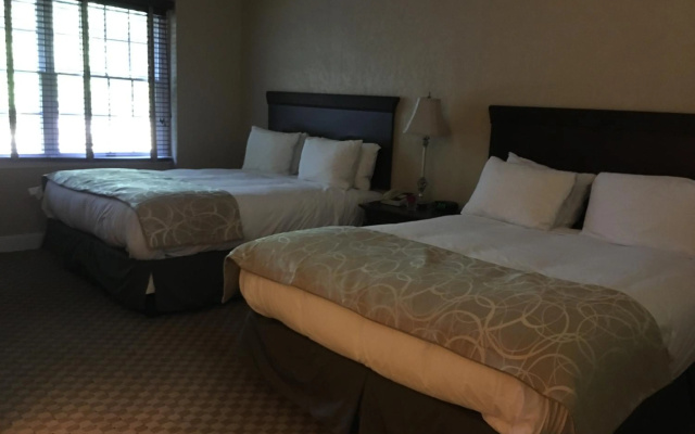 photo 4 of Quality Inn Airport South