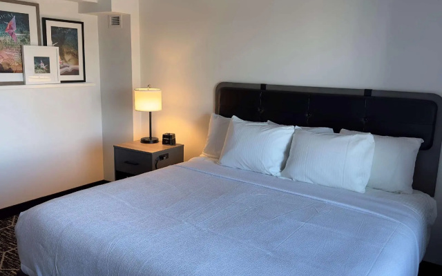 photo 4 of Hyatt Place Chicago/O'Hare Airport